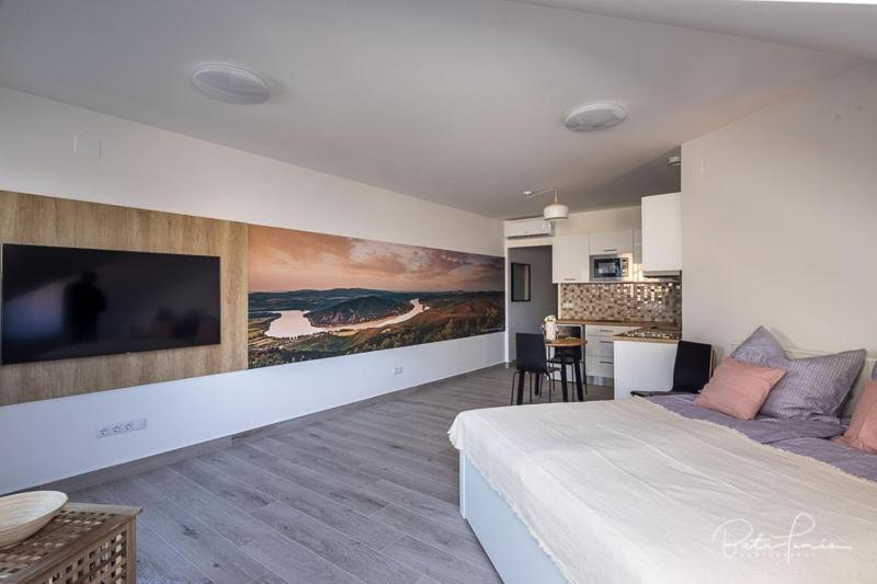 Stafetahaz Apartmanok Vac Luaran gambar